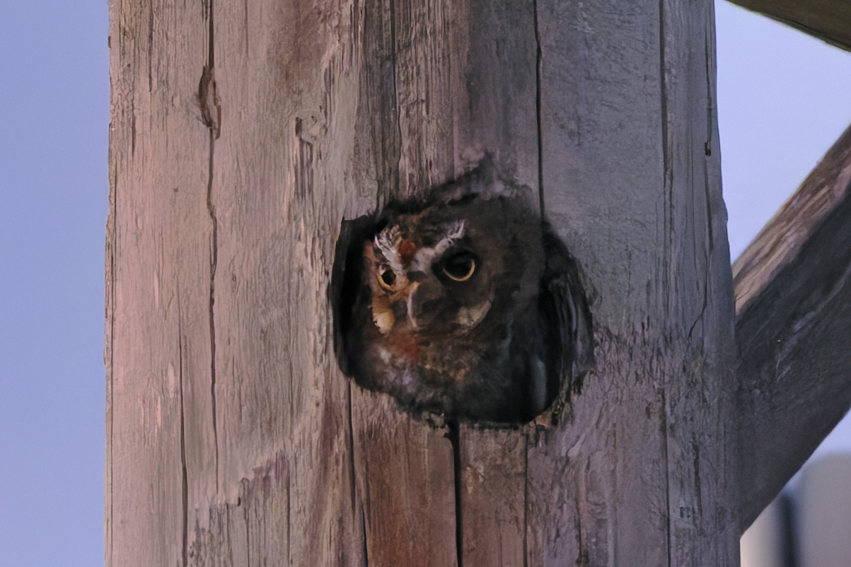 Rio Grande Valley – March ’26