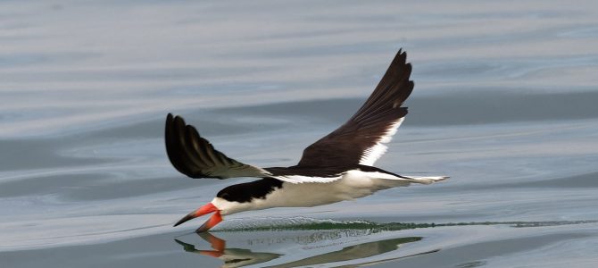 Southern California, August 6 – 10