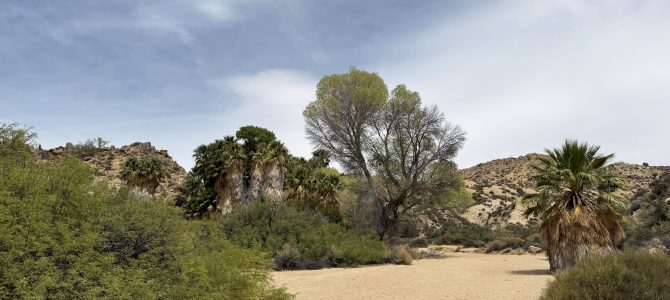 California Desert, August 11 – 13